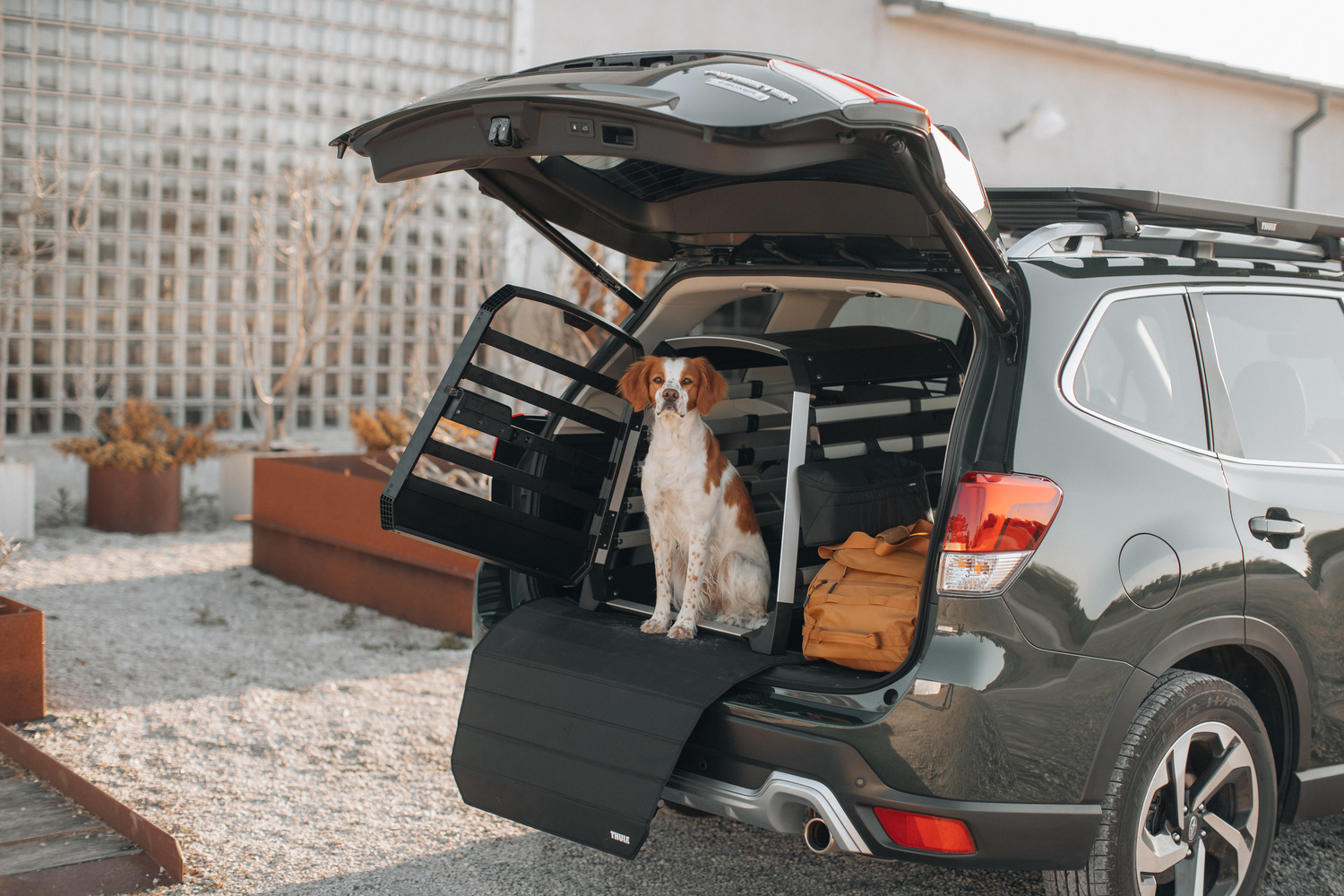 Thule Allax M Compact - transporter za psa za automobil